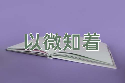 成语以微知着