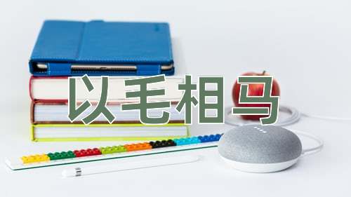 成语以毛相马