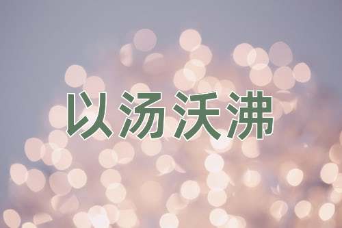 成语以汤沃沸
