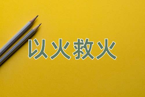 成语以火救火