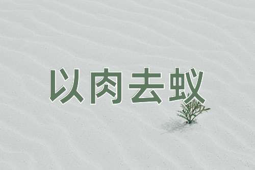 成语以肉去蚁