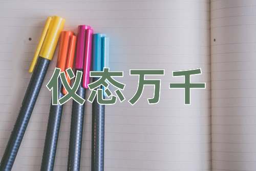 成语仪态万千