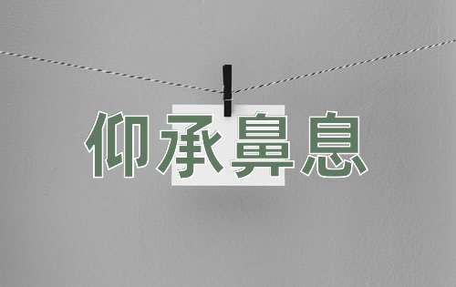 成语仰承鼻息