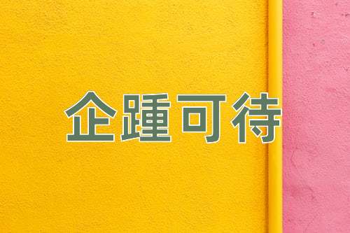 成语企踵可待