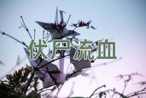 成语伏尸流血