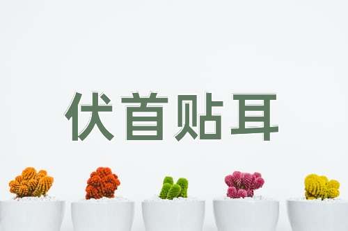 成语伏首贴耳