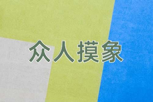 成语众人摸象
