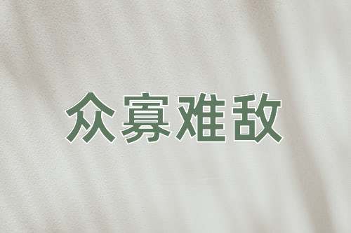 成语众寡难敌