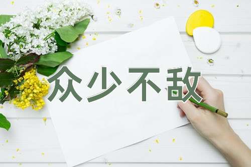 成语众少不敌