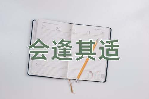 成语会逢其适