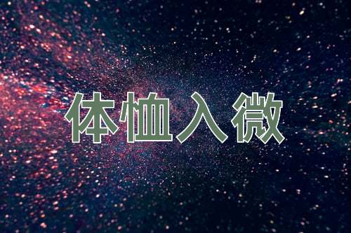 成语体恤入微