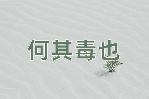 成语何其毒也