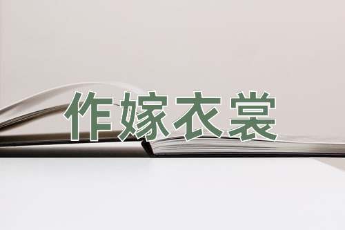 成语作嫁衣裳