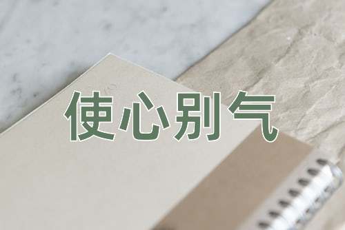 成语使心别气