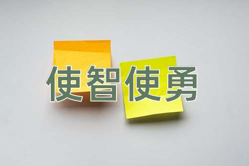 成语使智使勇