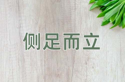 成语侧足而立