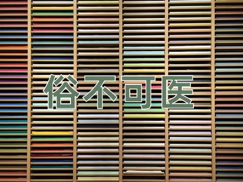 成语俗不可医