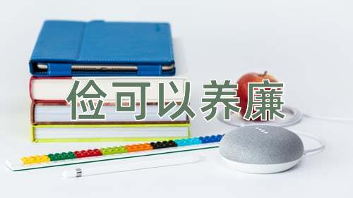 成语俭可以养廉