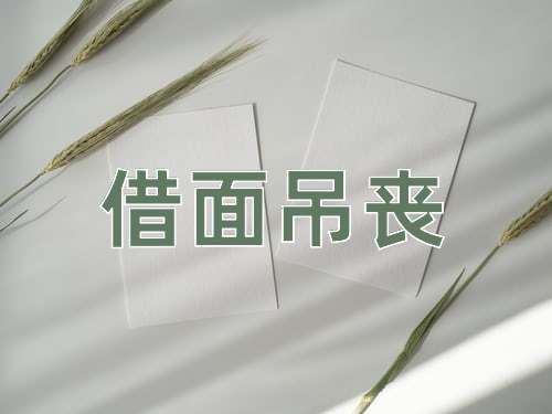 成语借面吊丧