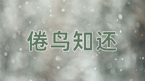 成语倦鸟知还