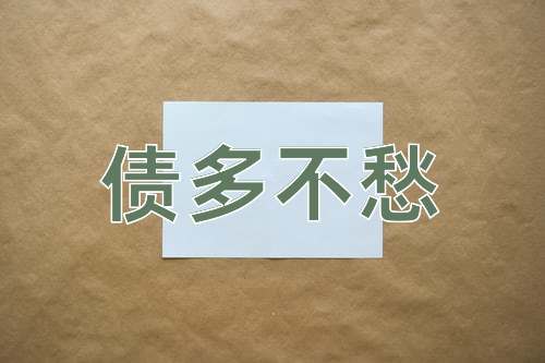 成语债多不愁