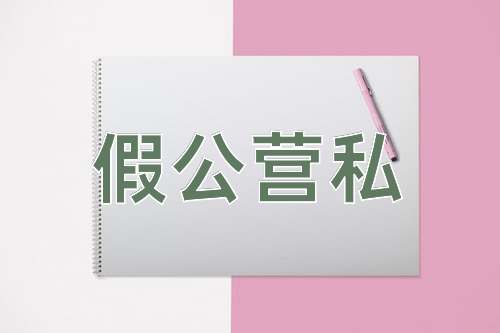 成语假公营私