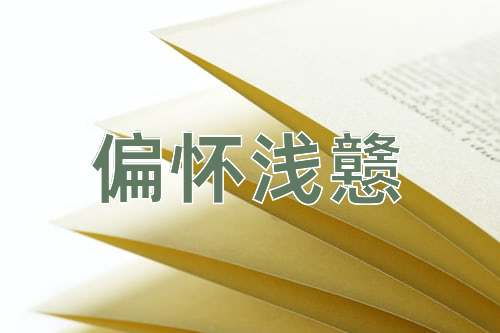 成语偏怀浅戆