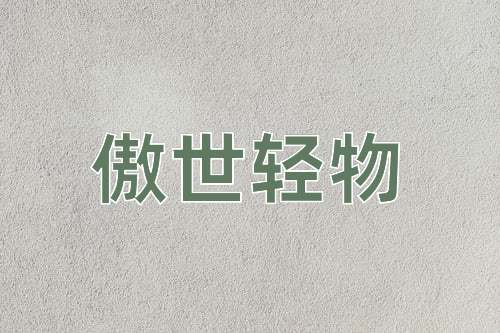 成语傲世轻物