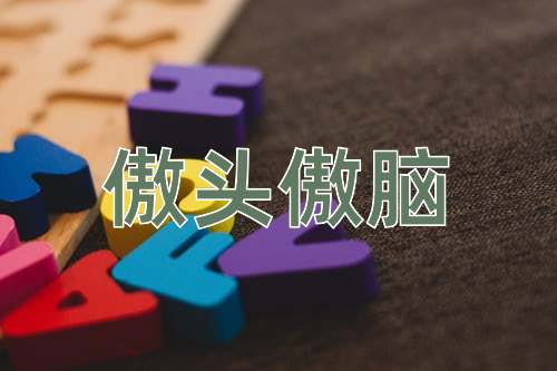 成语傲头傲脑