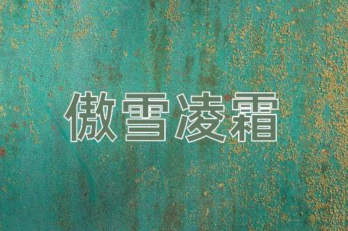 成语傲雪凌霜