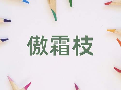 成语傲霜枝