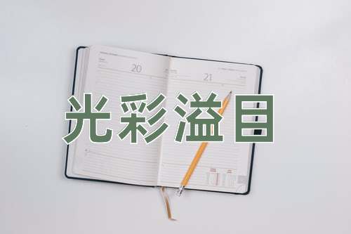 成语光彩溢目