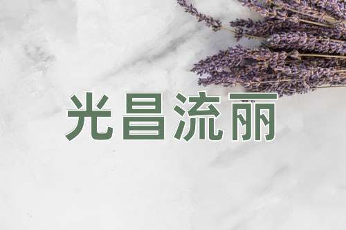成语光昌流丽