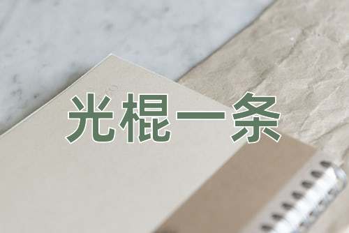 成语光棍一条