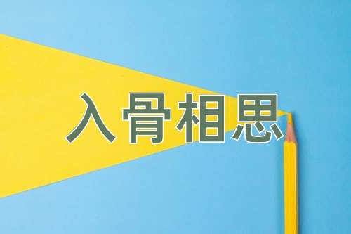 成语入骨相思