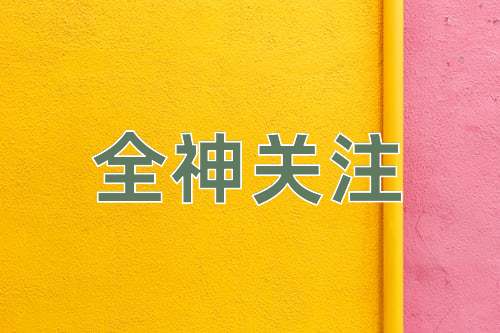 成语全神关注