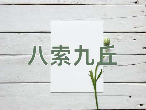 成语八索九丘