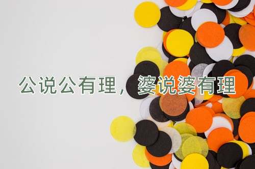 成语公说公有理，婆说婆有理