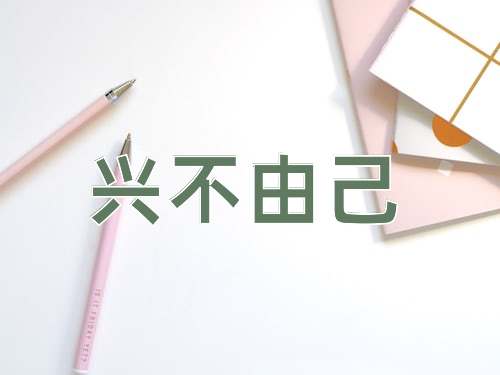 成语兴不由己