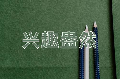 成语兴趣盎然