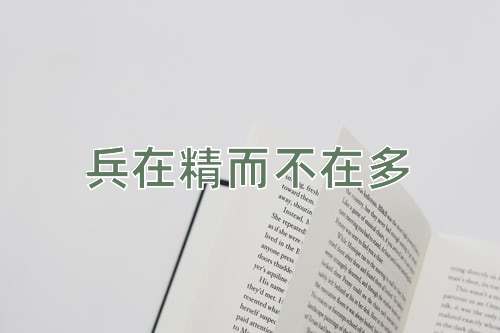 成语兵在精而不在多