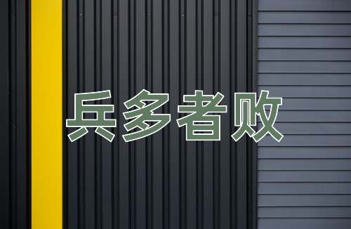 成语兵多者败