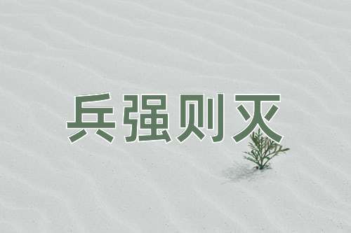成语兵强则灭