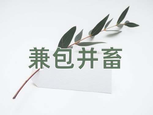 成语兼包并畜