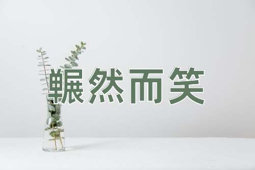 成语冁然而笑