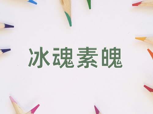 成语冰魂素魄