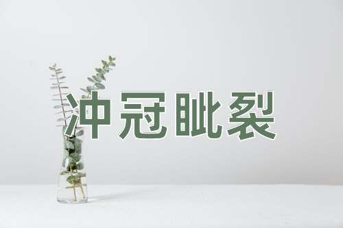 成语冲冠眦裂