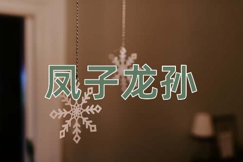 成语凤子龙孙