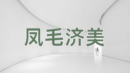 成语凤毛济美