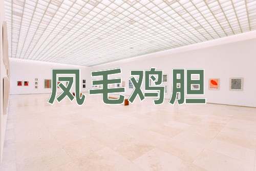 成语凤毛鸡胆
